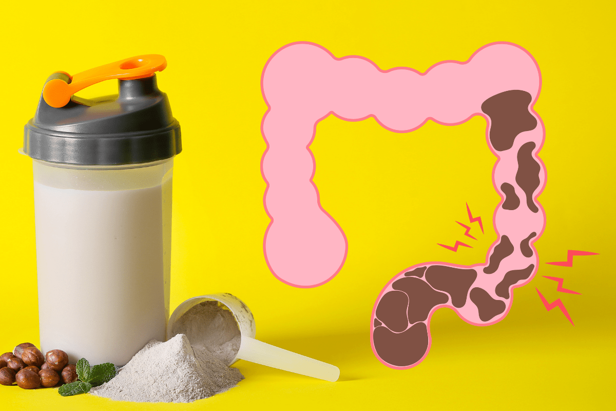 Does protein powder make you constipated